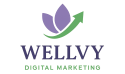 WELLVY Digital Marketing Agency